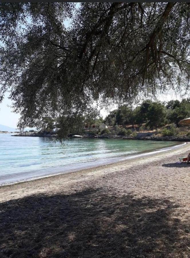 Alexander'S Villa Kritharia  Bagian luar foto
